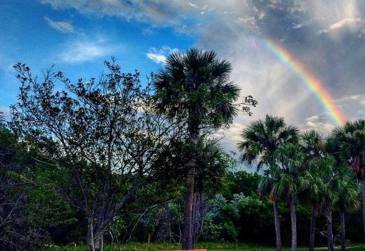 Bench with Rainbow