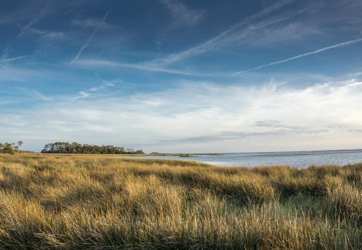 Vista of Cedar Key salt marsh and blue sky with wispy clouds