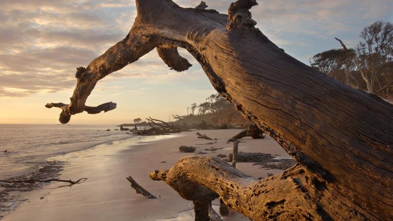 Big Talbot Island