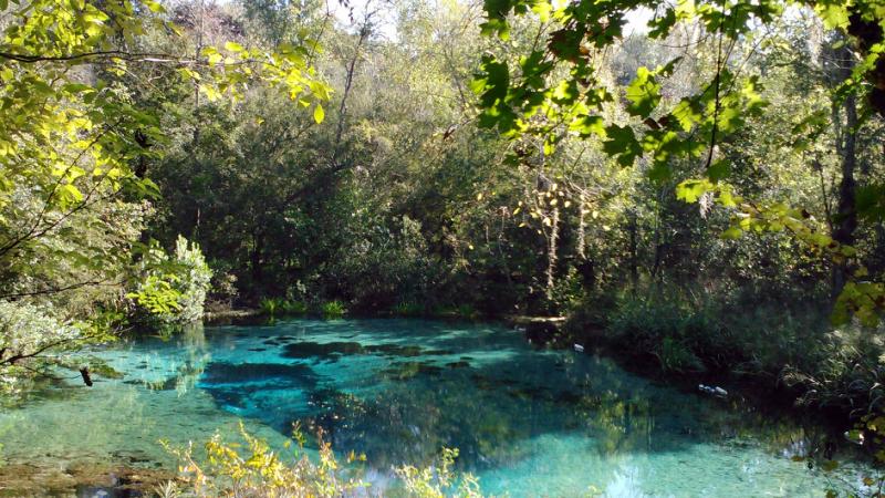 Image of the headsprings of Ichetucknee Springs State Park.