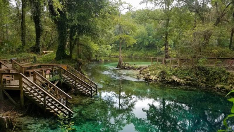 Image of trees and steps leading into Madison Blue Spring.