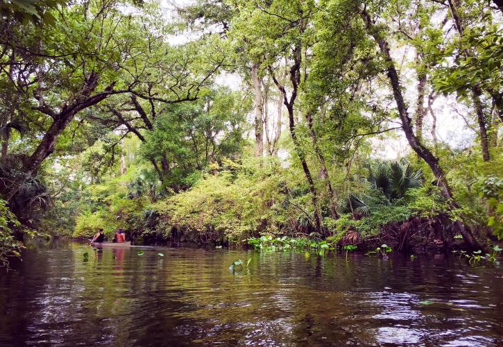 Paddlers on the Wekiva River